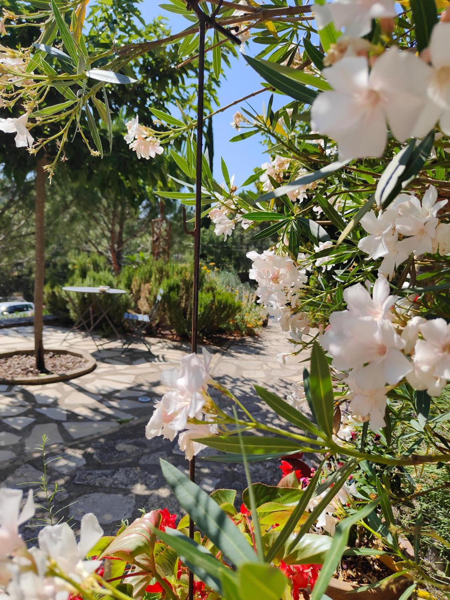 Hotel Hameau De La Savouillane Buis-les-Baronnies Zewnętrze zdjęcie
